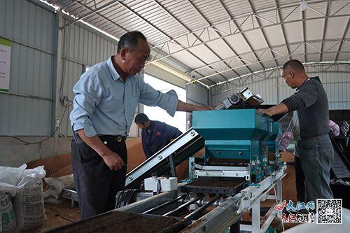 安遠鎮崗鄉 工廠化育秧助力糧食生產 圖